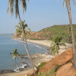 4Lobos پاپ & Oldies ریڈیو Station