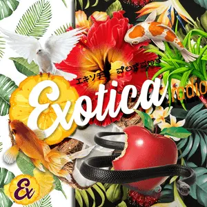 Exotica ریڈیو